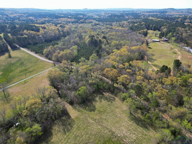 9458 Begonia Rd, Ore City, TX 75683 - photo 39