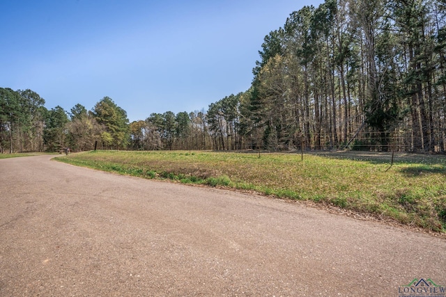 9458 Begonia Rd, Ore City, TX 75683 - photo 35