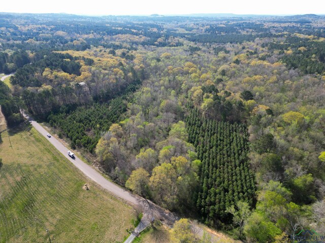 9458 Begonia Rd, Ore City, TX 75683 - photo 43