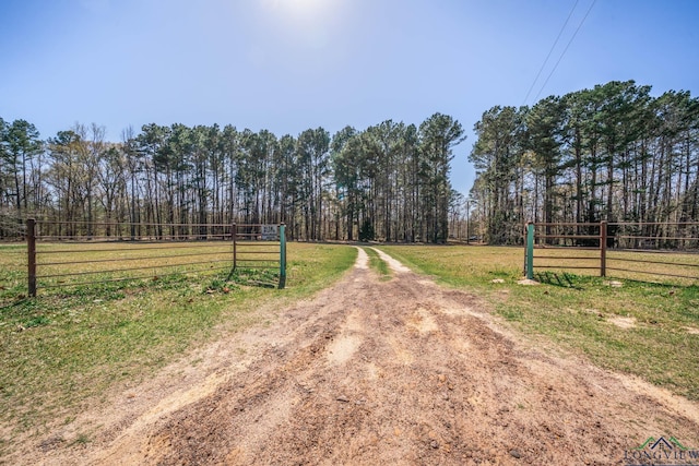 9458 Begonia Rd, Ore City, TX 75683 - photo 3