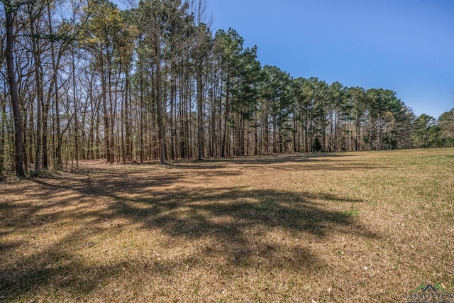 9458 Begonia Rd, Ore City, TX 75683 - photo 33