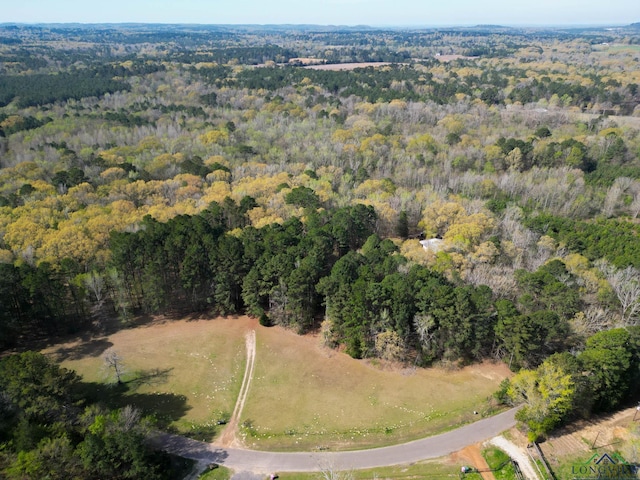 9458 Begonia Rd, Ore City, TX 75683 - photo 40