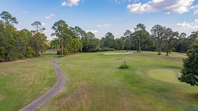 view of property's community with a yard