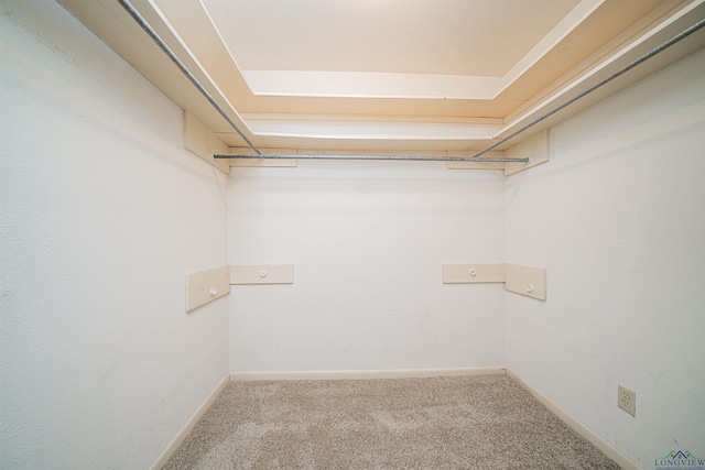 walk in closet featuring carpet flooring