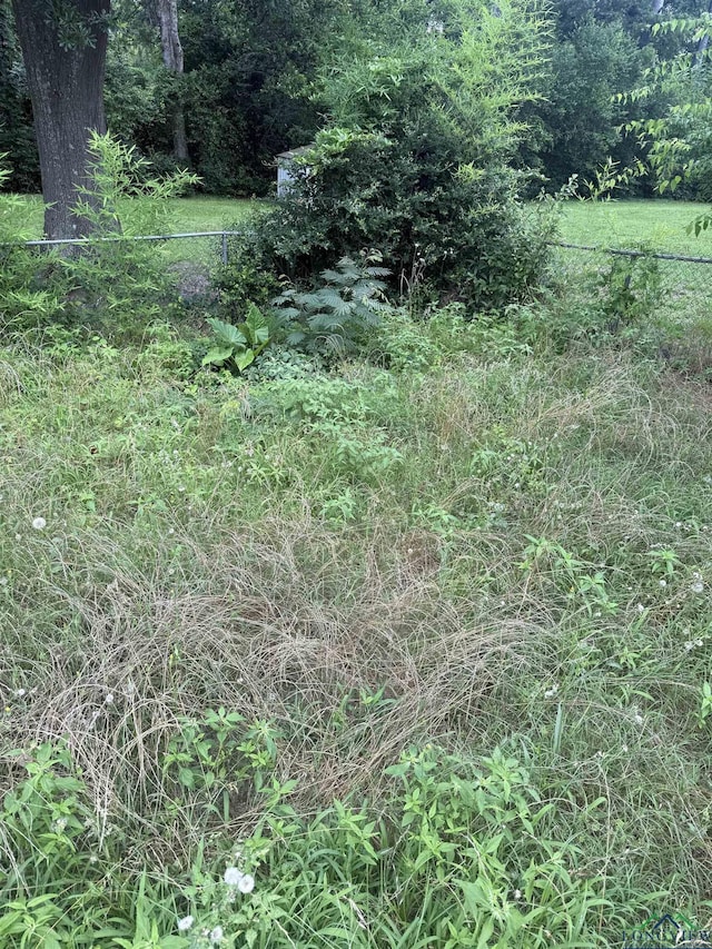 1701S Washington St, Marshall, TX 75670 - view of tree filled area