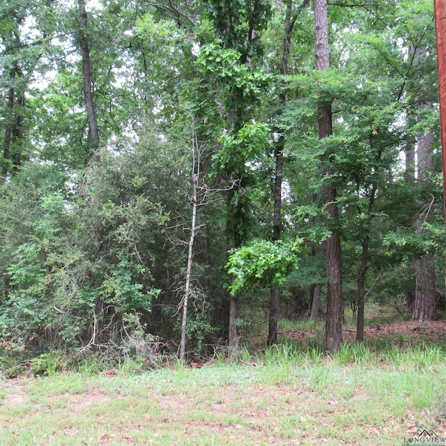 TBD Rolling Ridge, Holly Lake Ranch, TX 75765 - photo 4