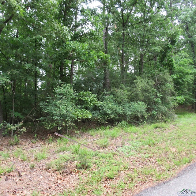 TBD Rolling Ridge, Holly Lake Ranch, TX 75765 - photo 3