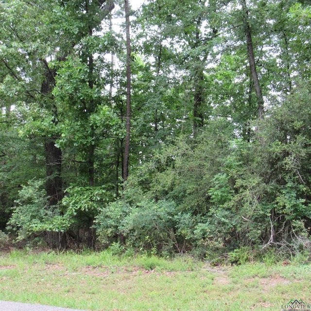 TBD Rolling Ridge, Holly Lake Ranch, TX 75765 - photo 2
