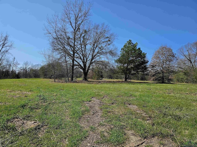 TBD Cr 1264, Pittsburg TX, 75686 land for sale