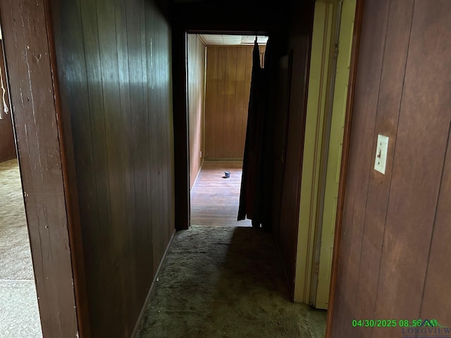 hallway featuring carpet flooring and wood walls