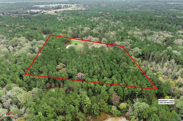1984 County Road 455, Carthage, TX 75633 - photo 19