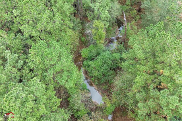 1984 County Road 455, Carthage, TX 75633 - photo 18