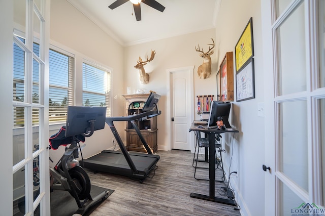 workout area featuring crown molding, ceiling fan, and hardwood / wood-style flooring