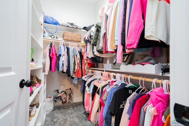 walk in closet with carpet flooring