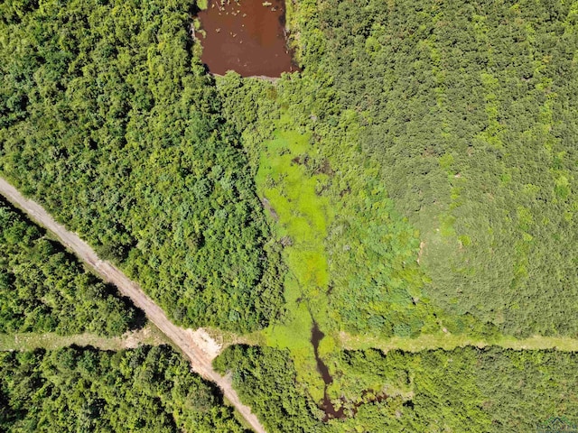 0000 Shady Grove Rd, Jefferson, TX 75657