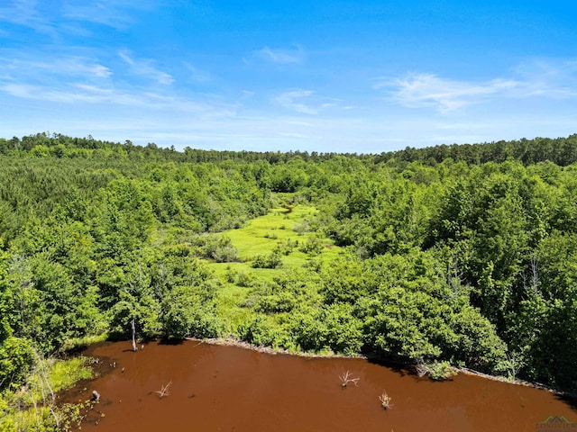 0000 Shady Grove Rd, Jefferson, TX 75657