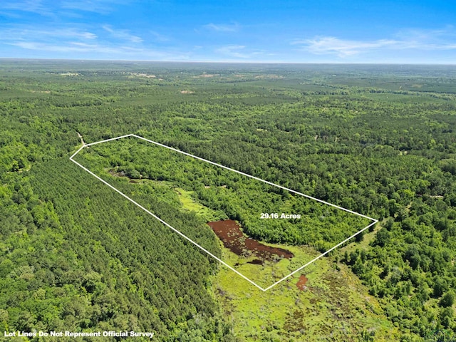 0000 Shady Grove Rd, Jefferson, TX 75657