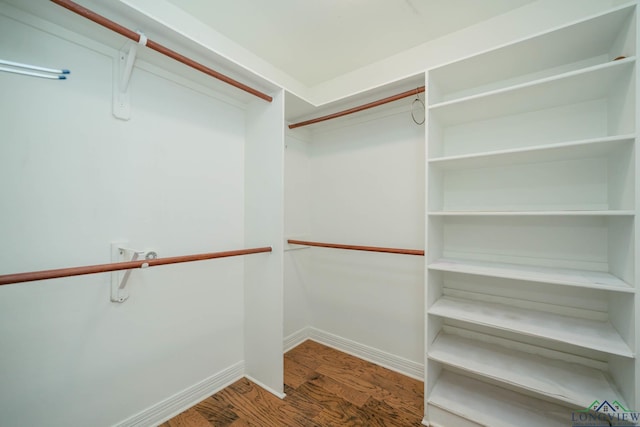 walk in closet featuring hardwood / wood-style flooring