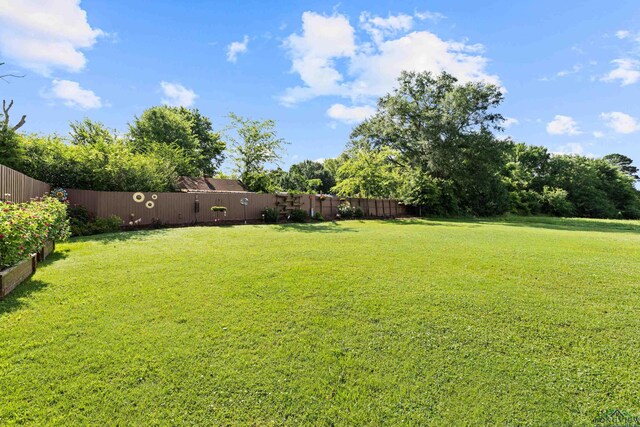 155 Corinne, Tatum, TX 75691 - photo 40