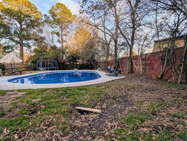 view of pool with a patio, a trampoline, a fenced backyard, and a fenced in pool