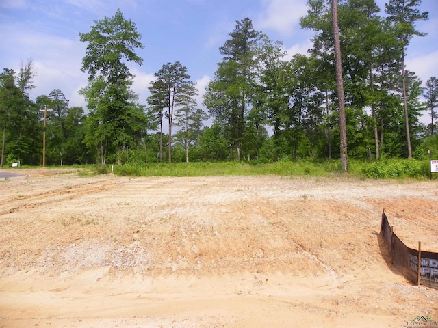 Big Rock Lake Rd, Hallsville, TX 75650 - photo 5