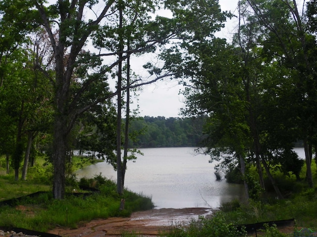 Big Rock Lake Rd, Hallsville, TX 75650 - photo 15