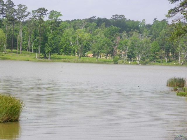 Big Rock Lake Rd, Hallsville, TX 75650 - photo 13