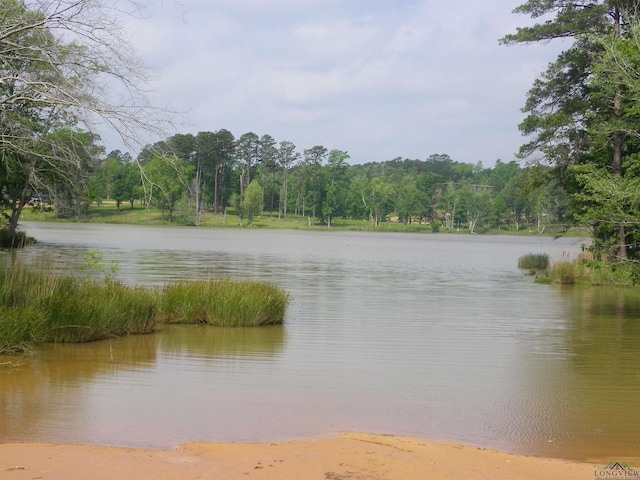 Big Rock Lake Rd, Hallsville, TX 75650 - photo 12