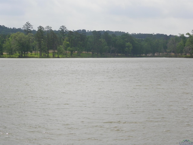 Big Rock Lake Rd, Hallsville, TX 75650 - photo 14
