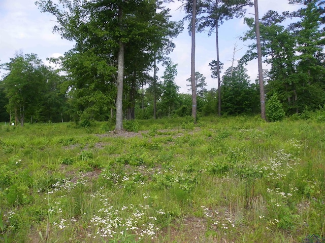 Big Rock Lake Rd, Hallsville, TX 75650 - photo 7
