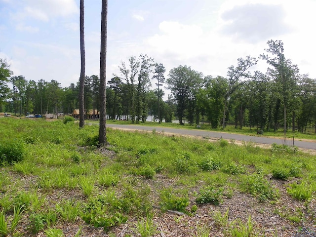 Big Rock Lake Rd, Hallsville, TX 75650 - photo 8