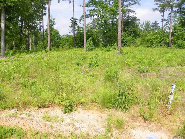 Big Rock Lake Rd, Hallsville, TX 75650 - photo 6
