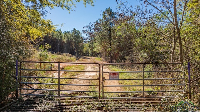 Listing photo 2 for TBD Firetower Rd, Hallsville TX 75650