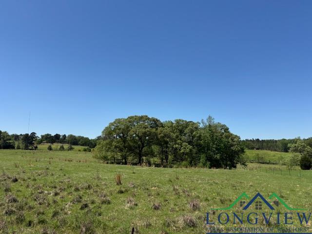 TBD Fm 2685, Gilmer, TX 75645 - photo 11