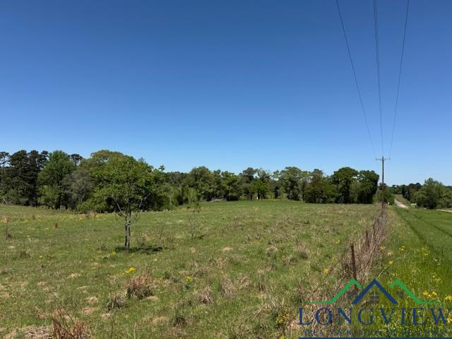TBD Fm 2685, Gilmer, TX 75645 - photo 4