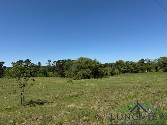 TBD Fm 2685, Gilmer, TX 75645 - photo 2