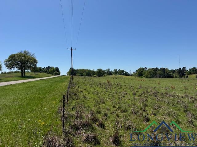 TBD Fm 2685, Gilmer, TX 75645 - photo 10