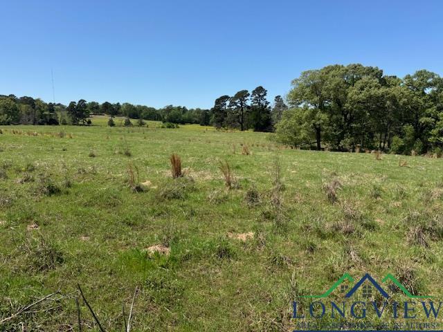 TBD Fm 2685, Gilmer, TX 75645 - photo 6
