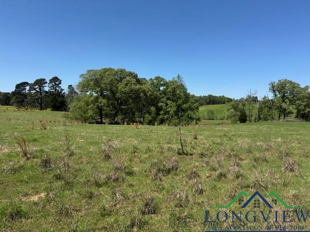 TBD Fm 2685, Gilmer, TX 75645 - photo 7