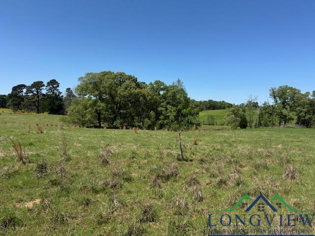 TBD Fm 2685, Gilmer, TX 75645 - photo 8