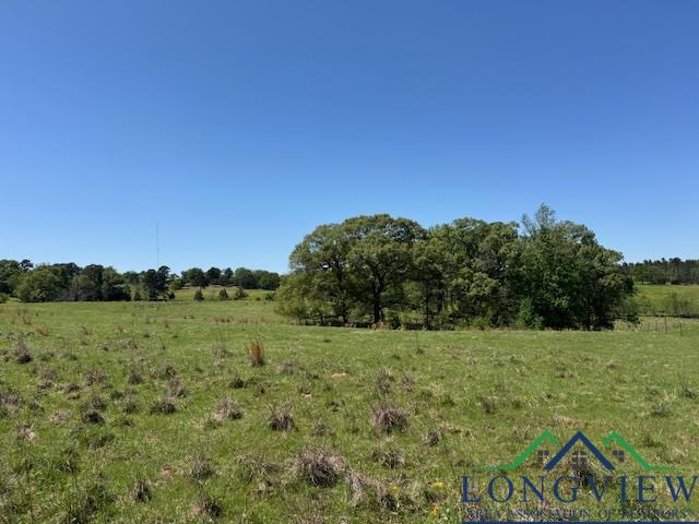TBD Fm 2685, Gilmer, TX 75645 - photo 1