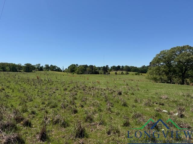 TBD Fm 2685, Gilmer, TX 75645 - photo 9