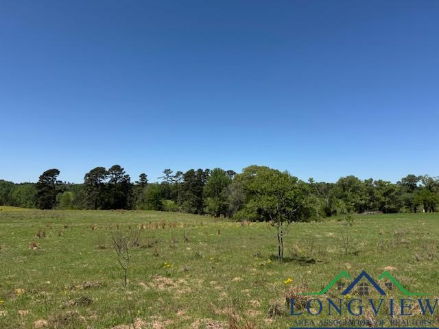 TBD Fm 2685, Gilmer, TX 75645 - photo 5