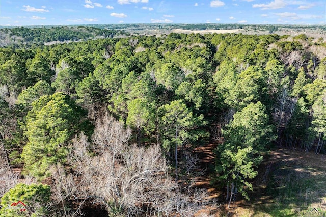 Listing photo 3 for TBD State Highway 135, Overton TX 75684