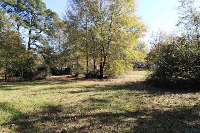 2325 Bates St, Longview, TX 75602