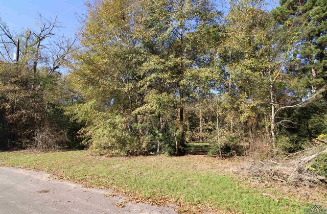 2325 Bates St, Longview, TX 75602