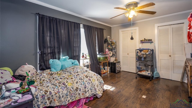 bedroom featuring multiple closets, ceiling fan, crown molding, and dark hardwood / wood-style floors