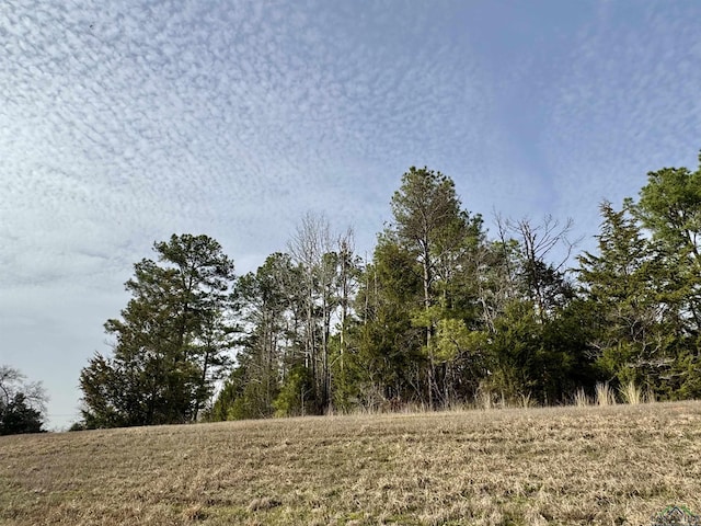 TBD Fm 2612, Hughes Springs, TX 75656