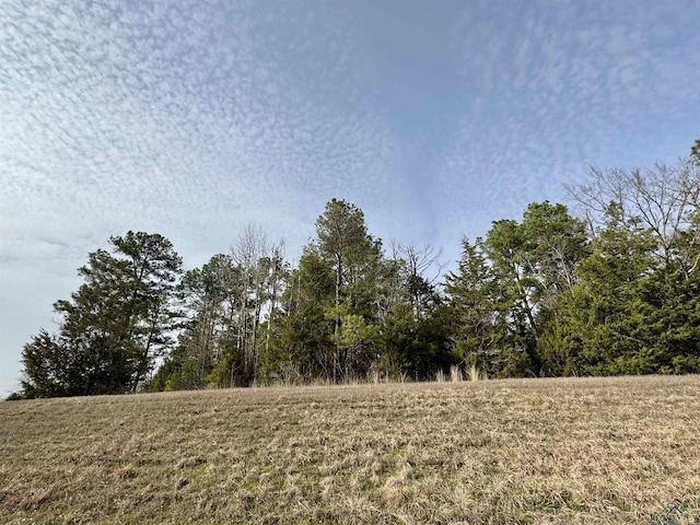 TBD Fm 2612, Hughes Springs, TX 75656