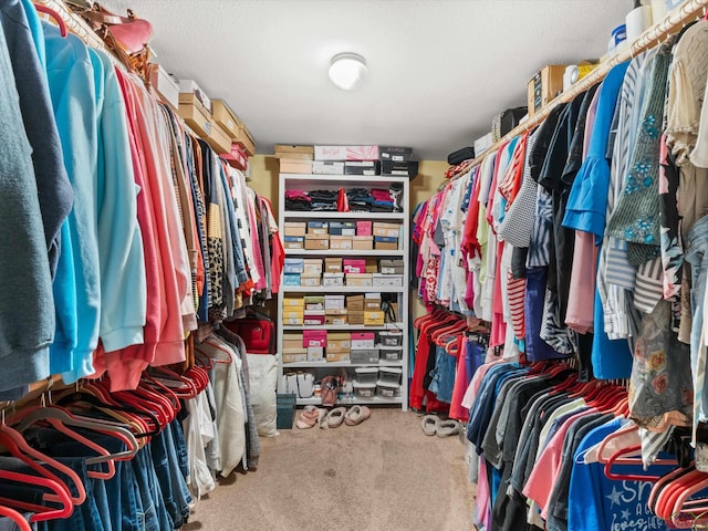 walk in closet with carpet flooring